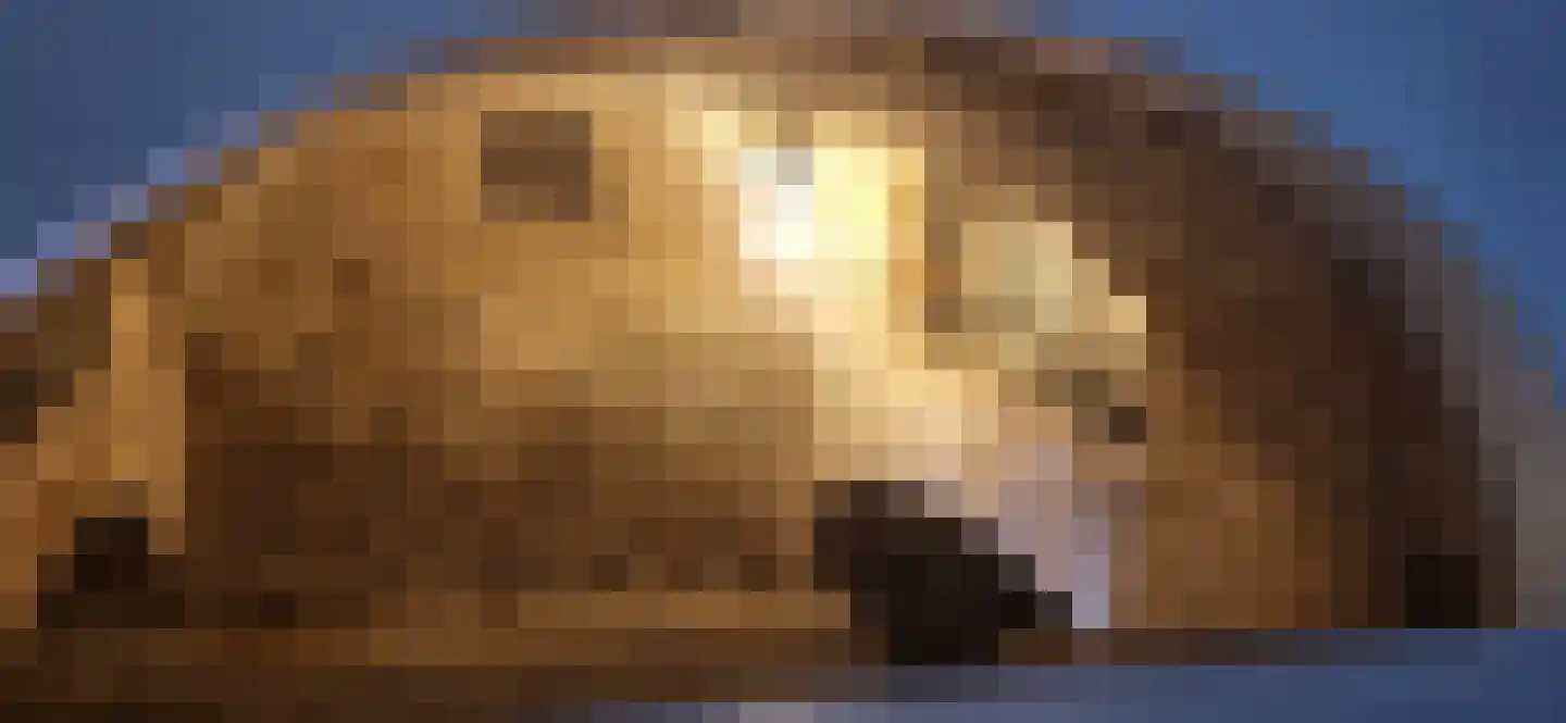 Wijdstraat 2 Oudewater thumbnail 24
