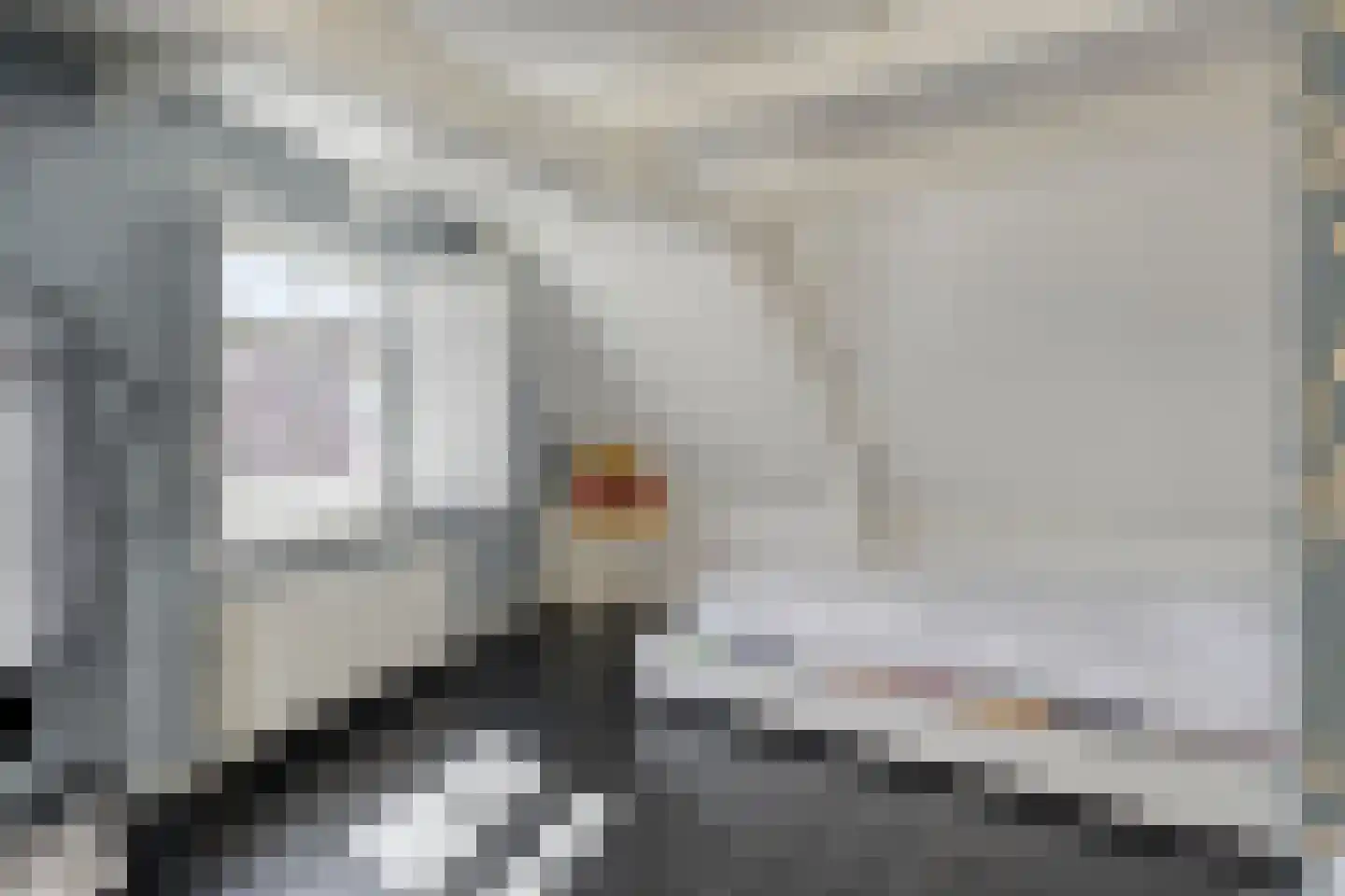 Wijdstraat 2 Oudewater thumbnail 39