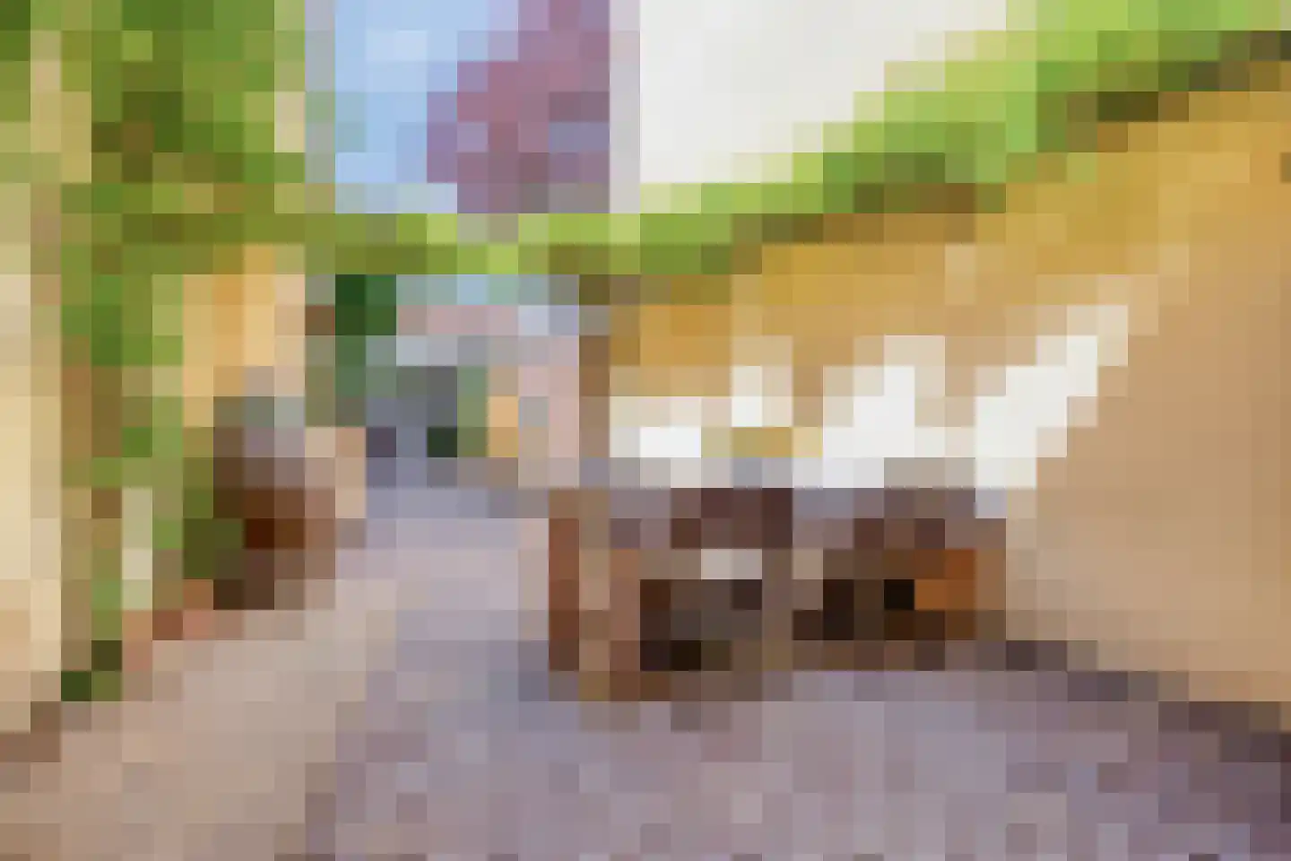 Wijdstraat 2 Oudewater thumbnail 44