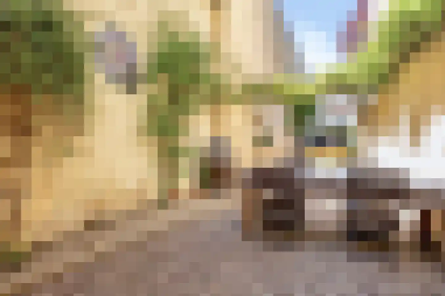 Wijdstraat 2 Oudewater thumbnail 45