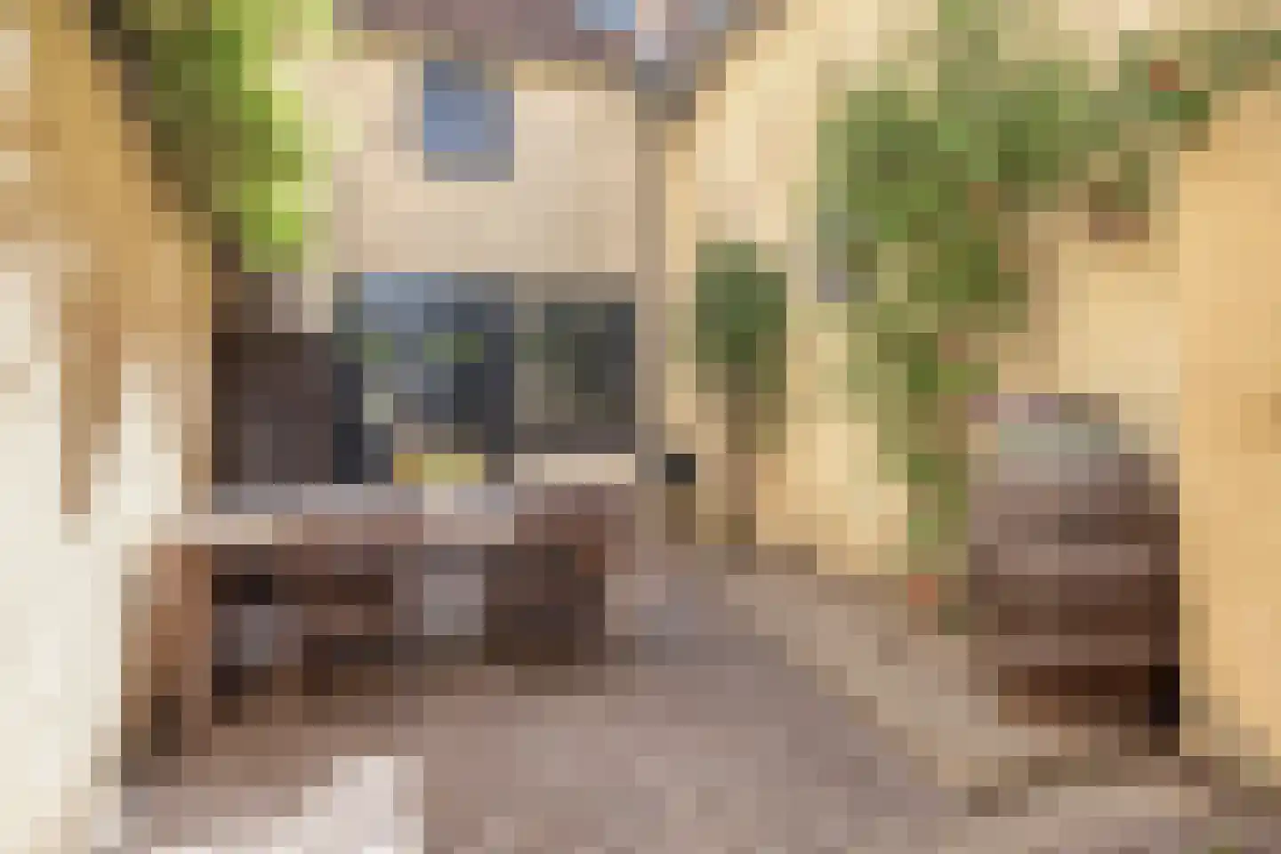 Wijdstraat 2 Oudewater thumbnail 46
