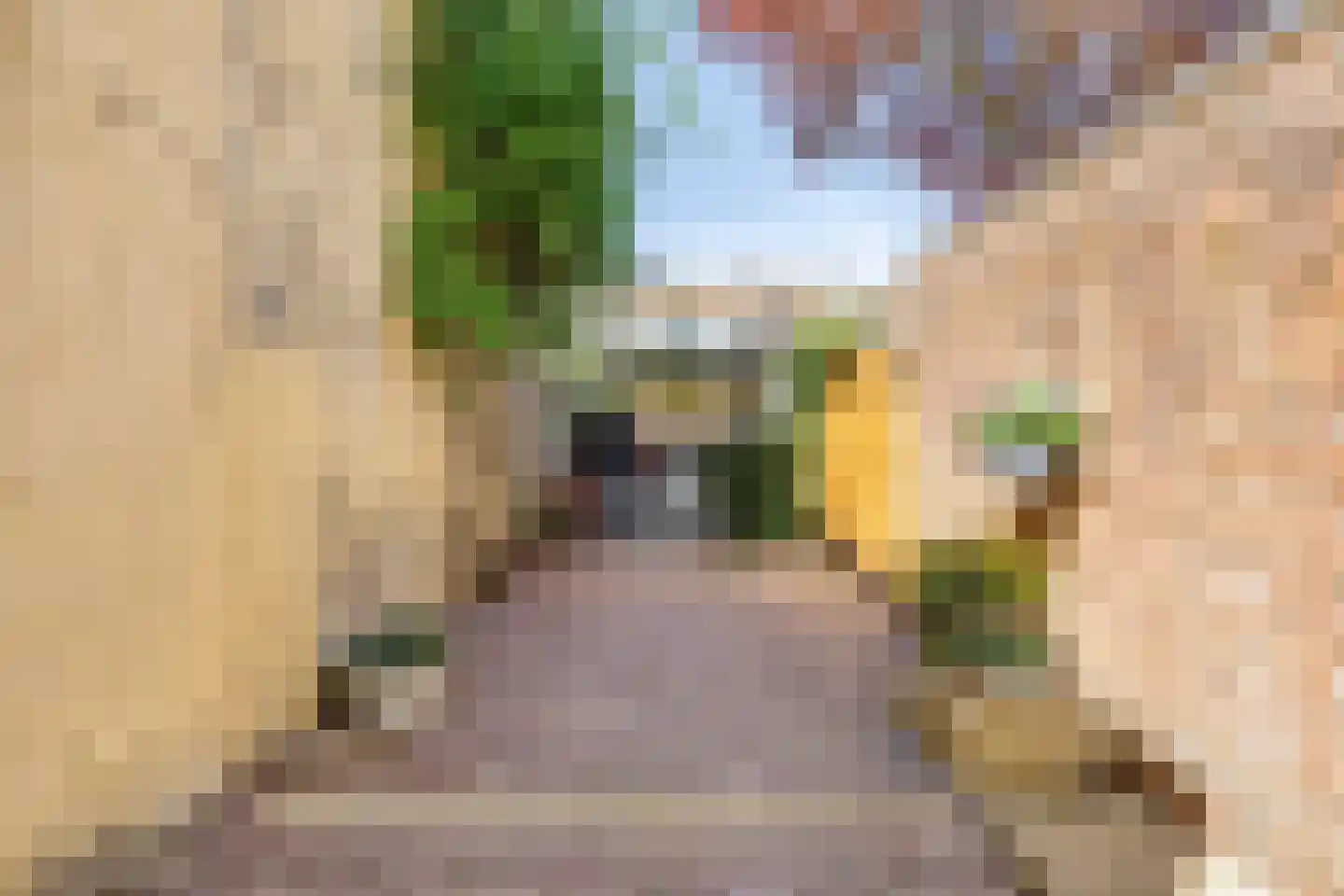 Wijdstraat 2 Oudewater thumbnail 47