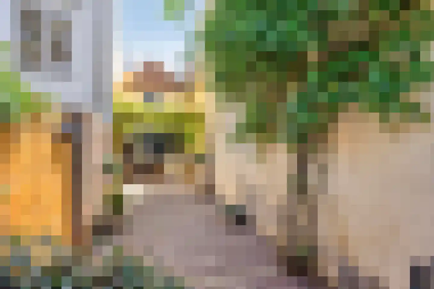 Wijdstraat 2 Oudewater thumbnail 48
