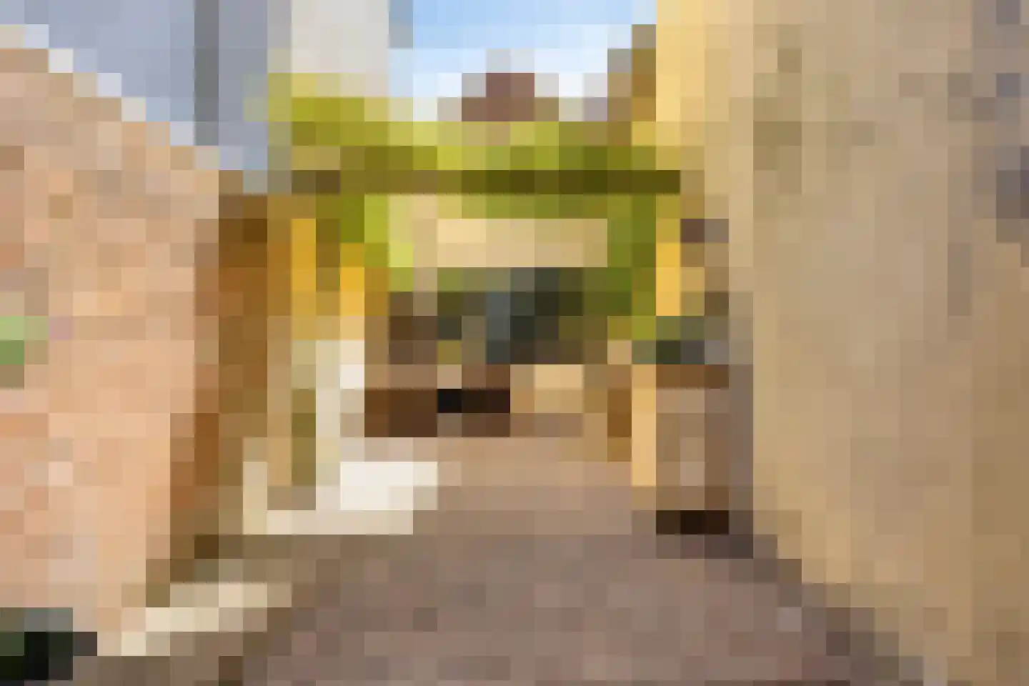 Wijdstraat 2 Oudewater thumbnail 49