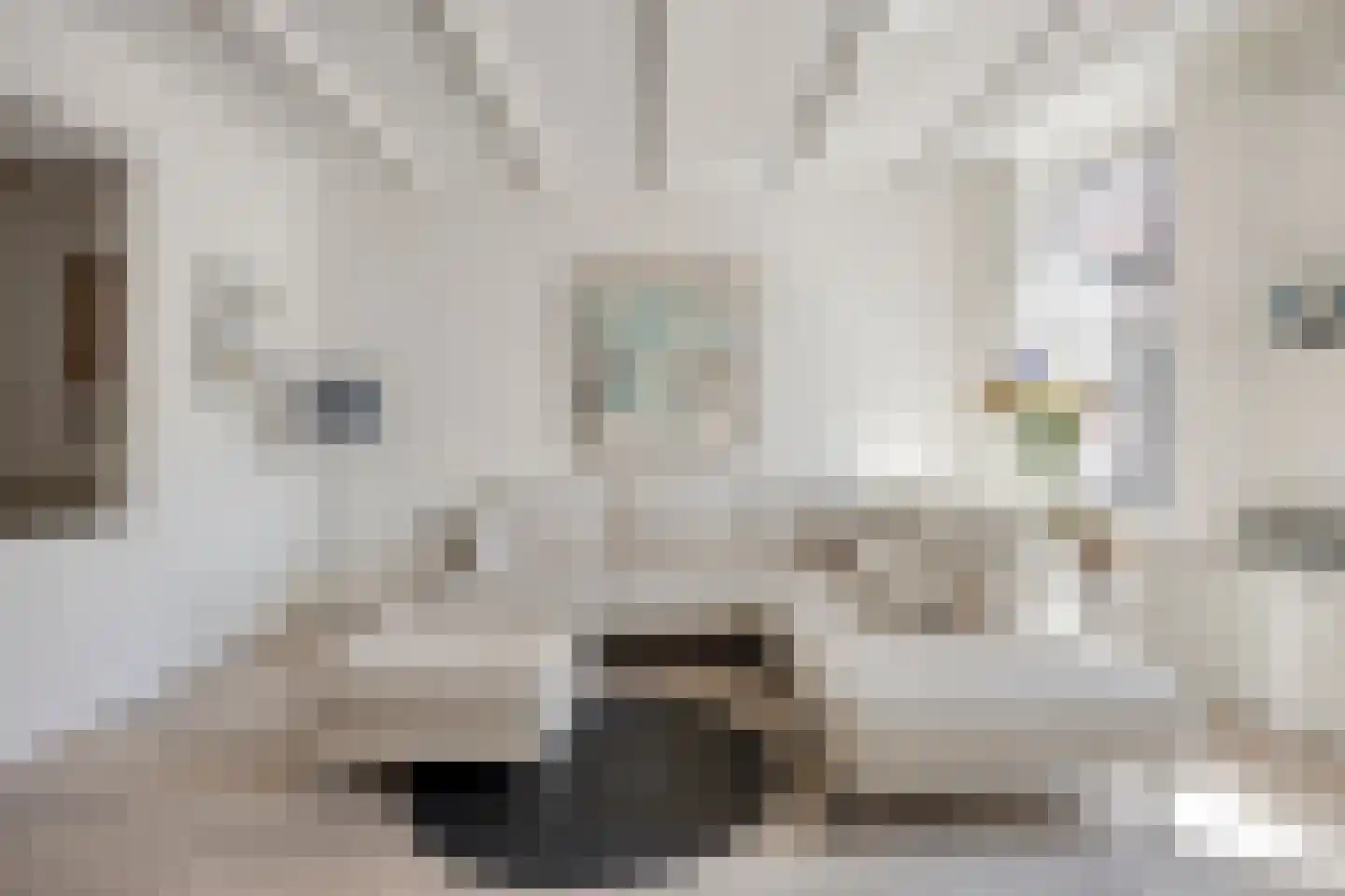Wijdstraat 2 Oudewater thumbnail 5