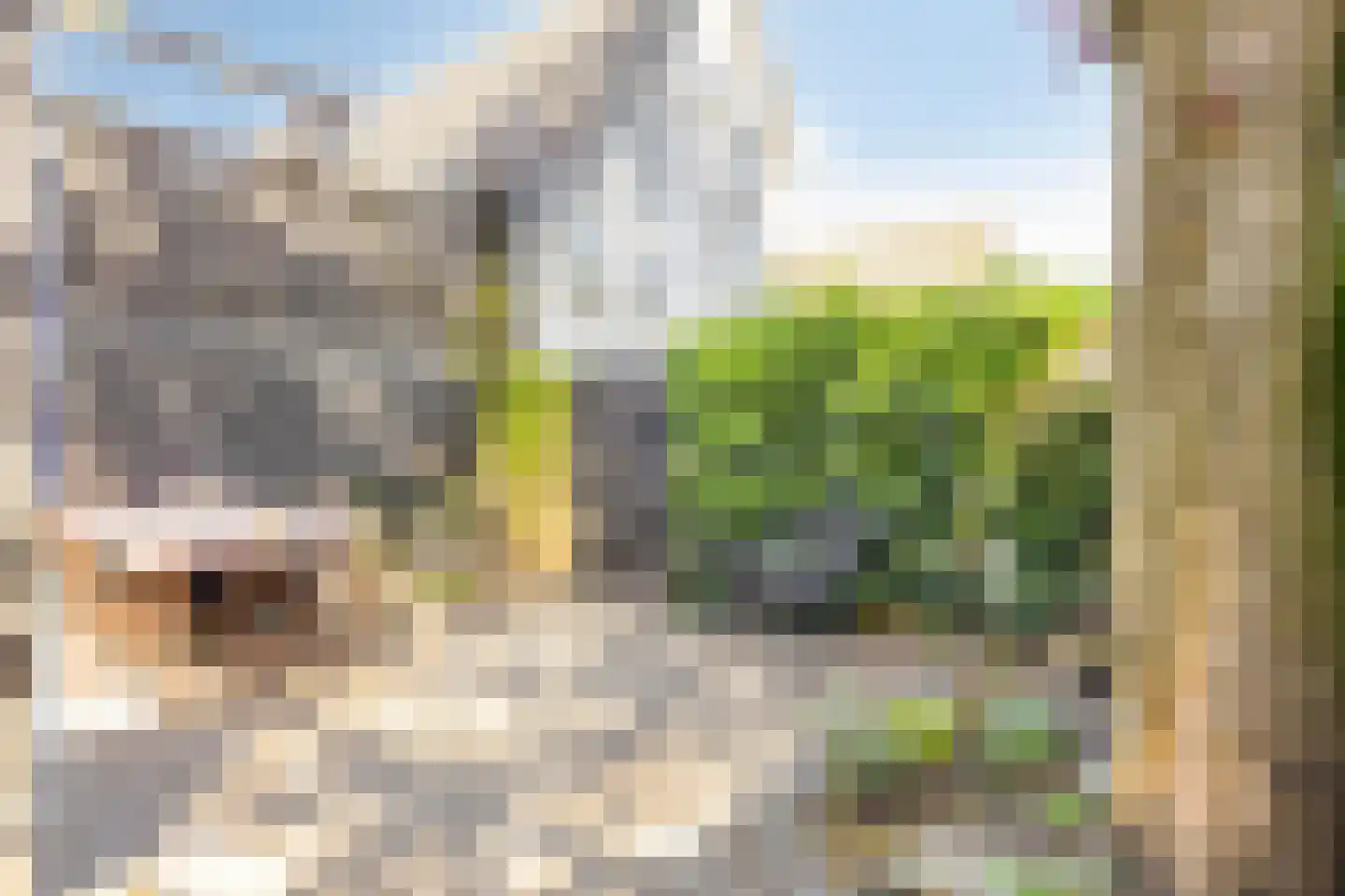 Wijdstraat 2 Oudewater thumbnail 54