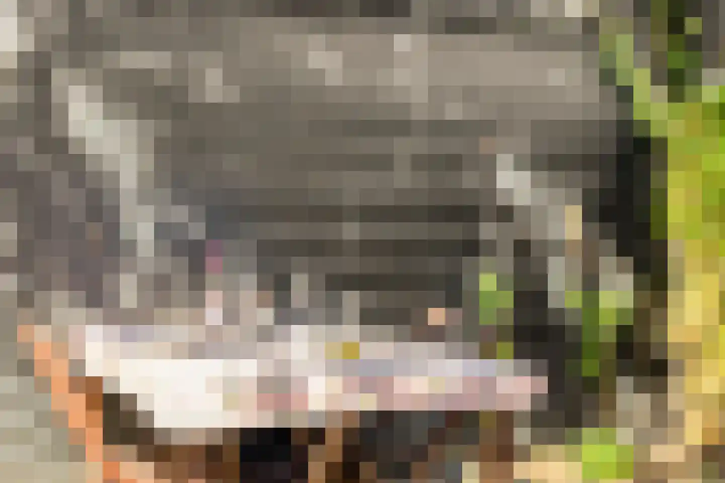 Wijdstraat 2 Oudewater thumbnail 55
