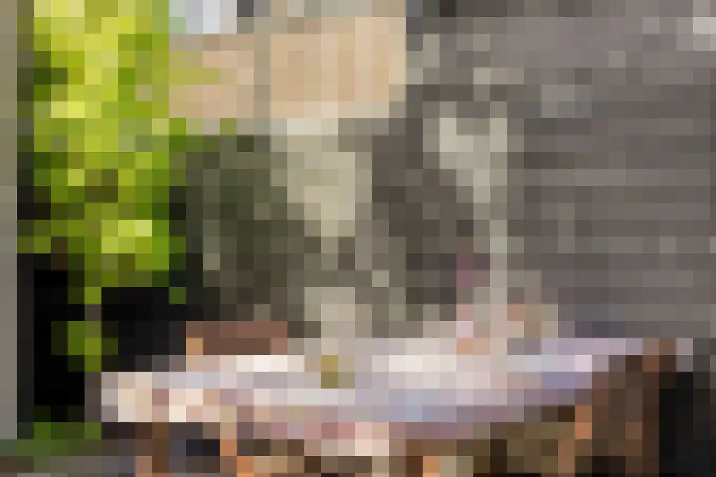 Wijdstraat 2 Oudewater thumbnail 56