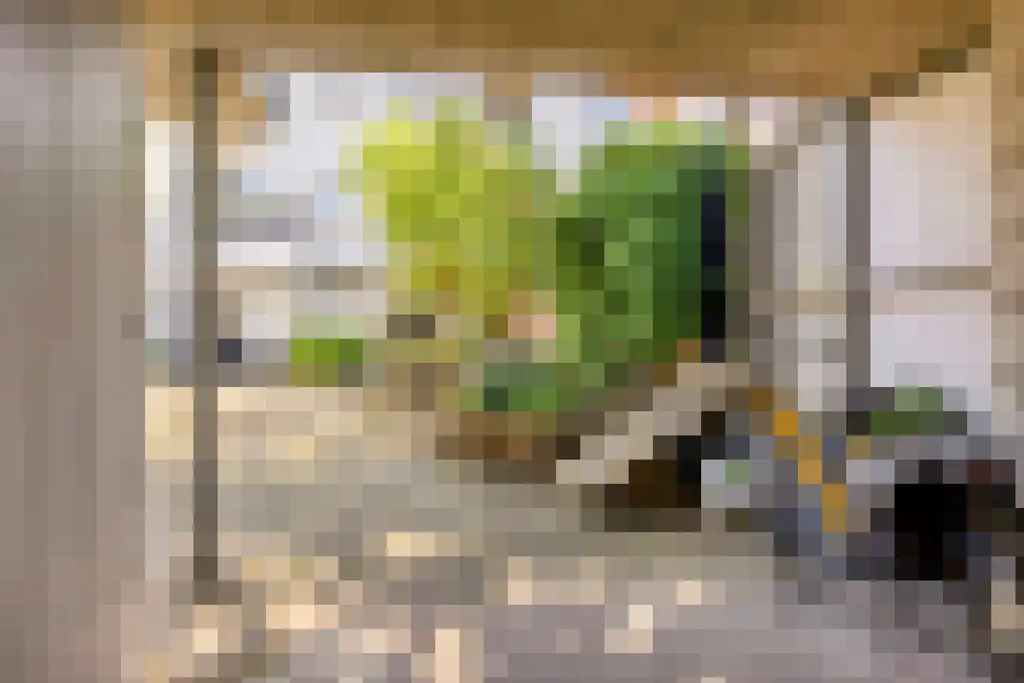 Wijdstraat 2 Oudewater thumbnail 58