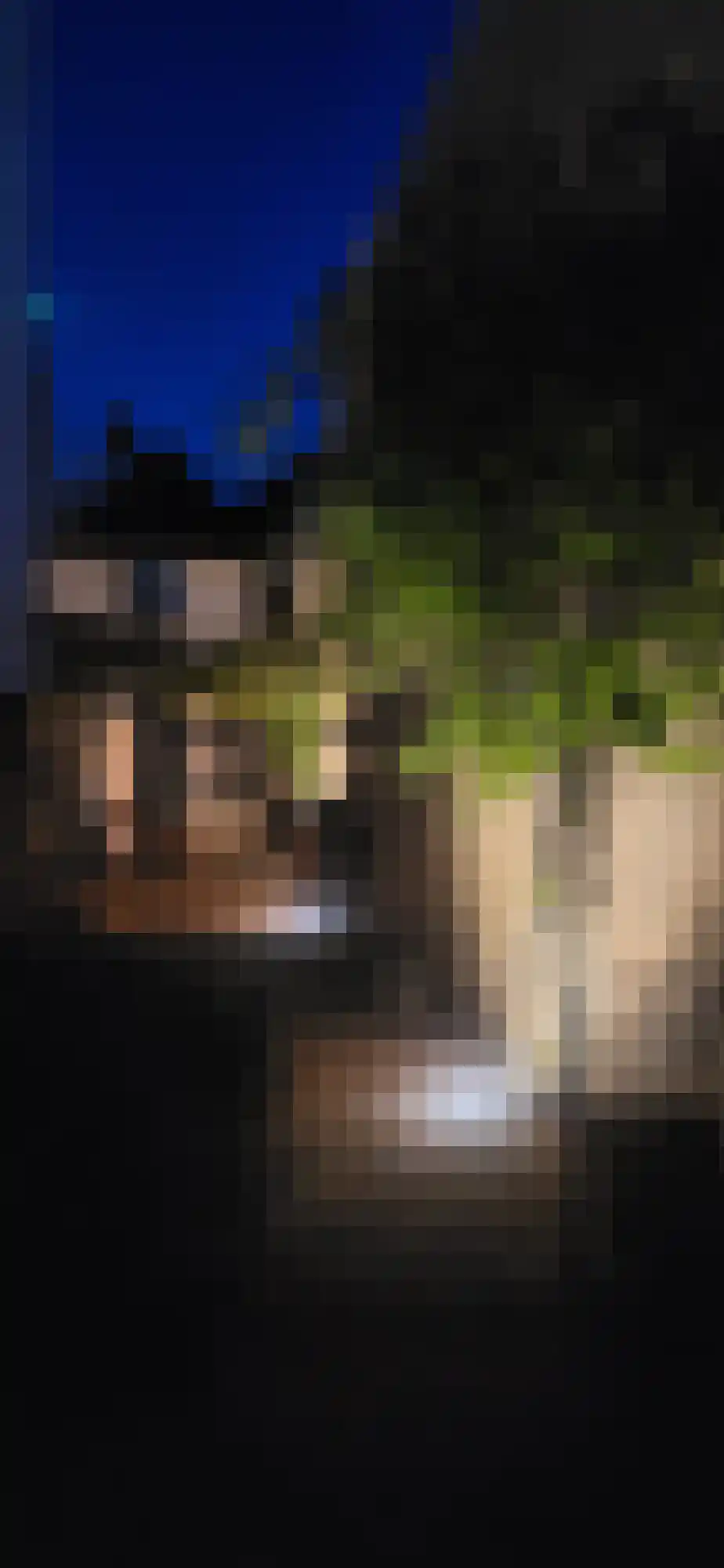 Wijdstraat 2 Oudewater thumbnail 59