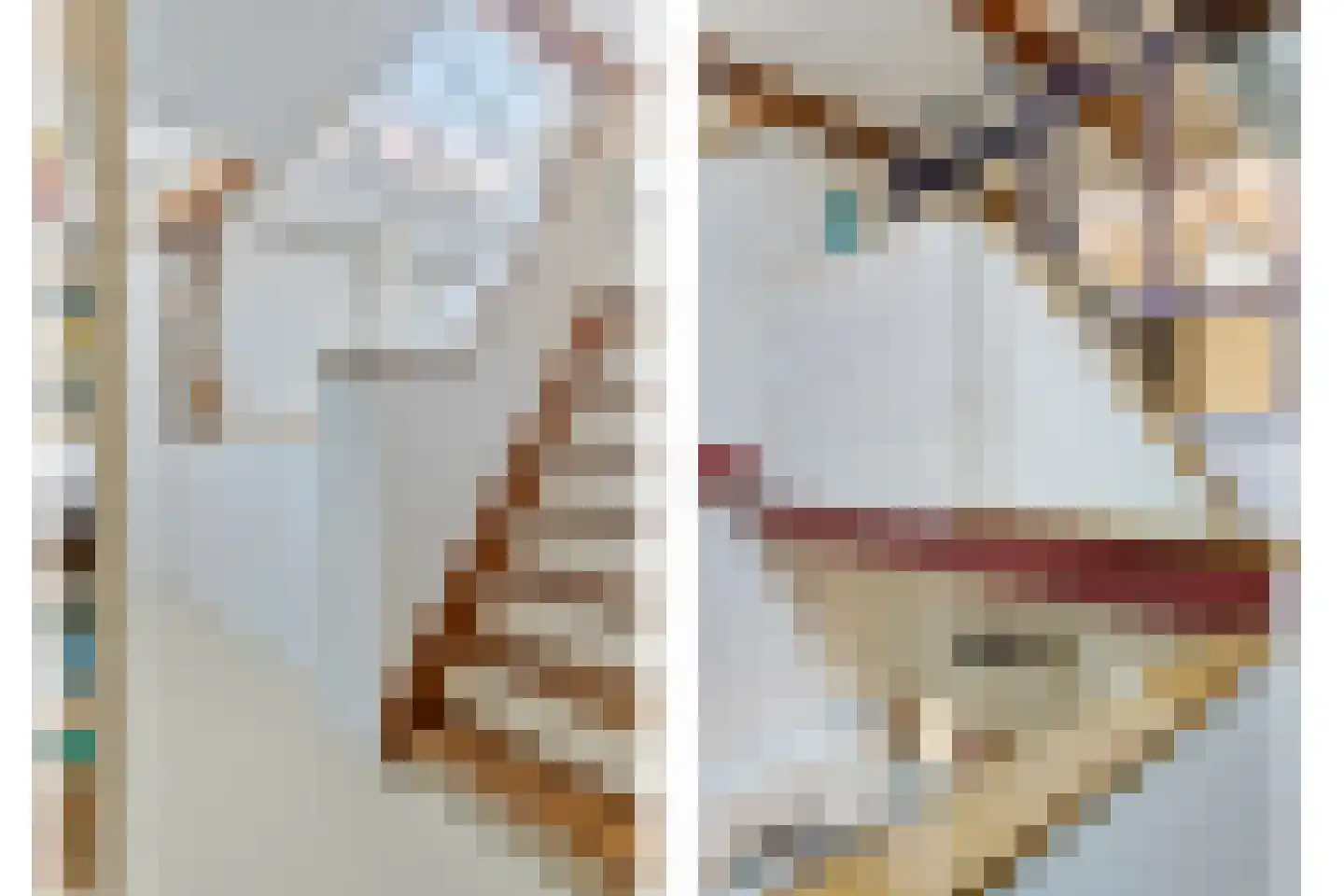 Wijdstraat 21 Oudewater thumbnail 32