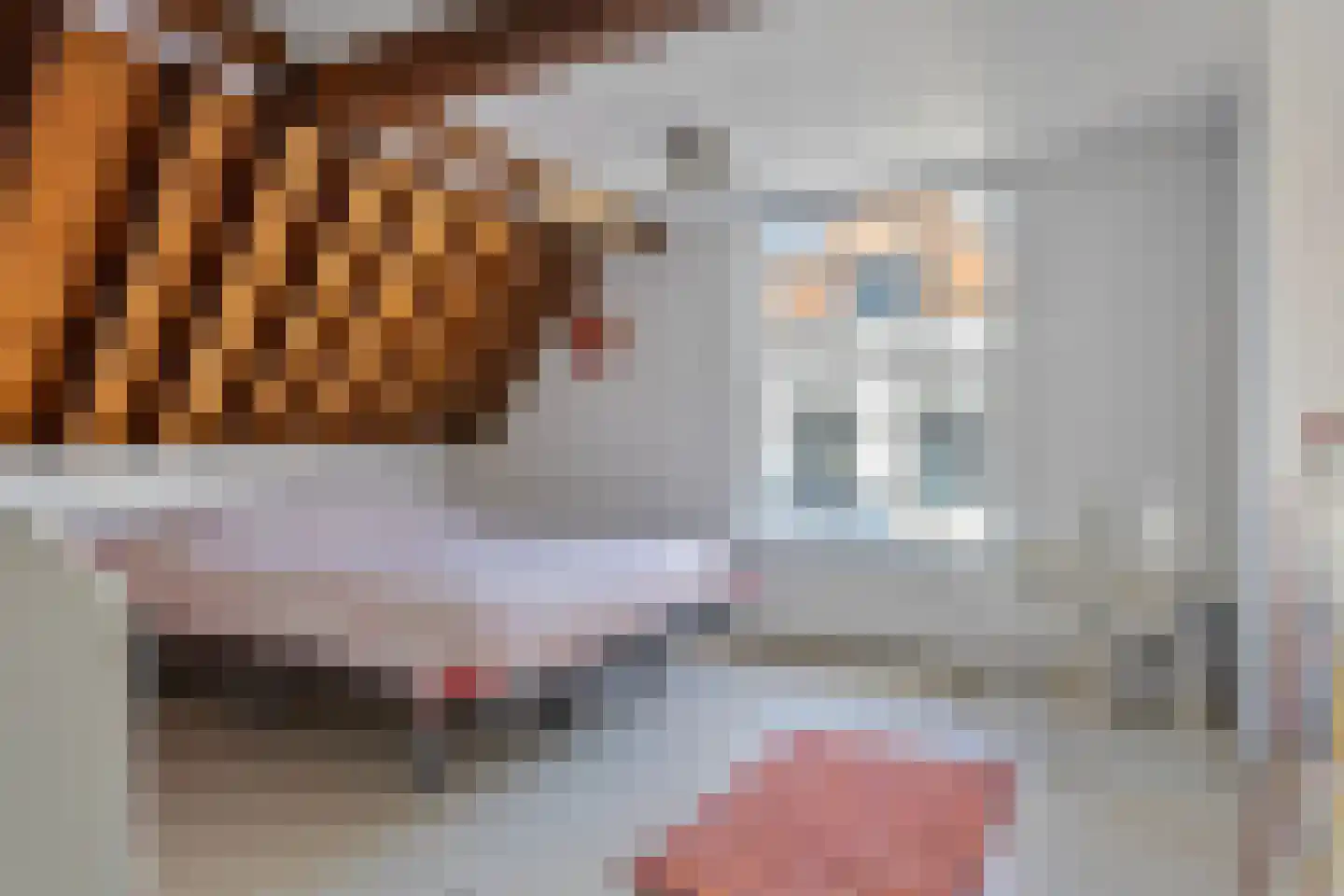 Wijdstraat 21 Oudewater thumbnail 34