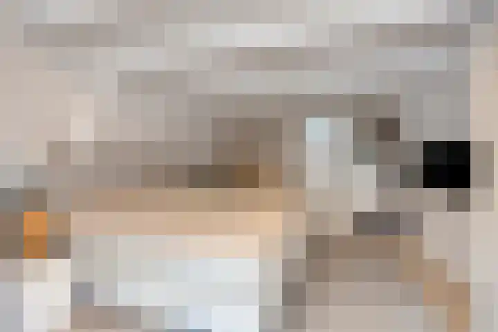 Wijdstraat 24 Oudewater thumbnail 13