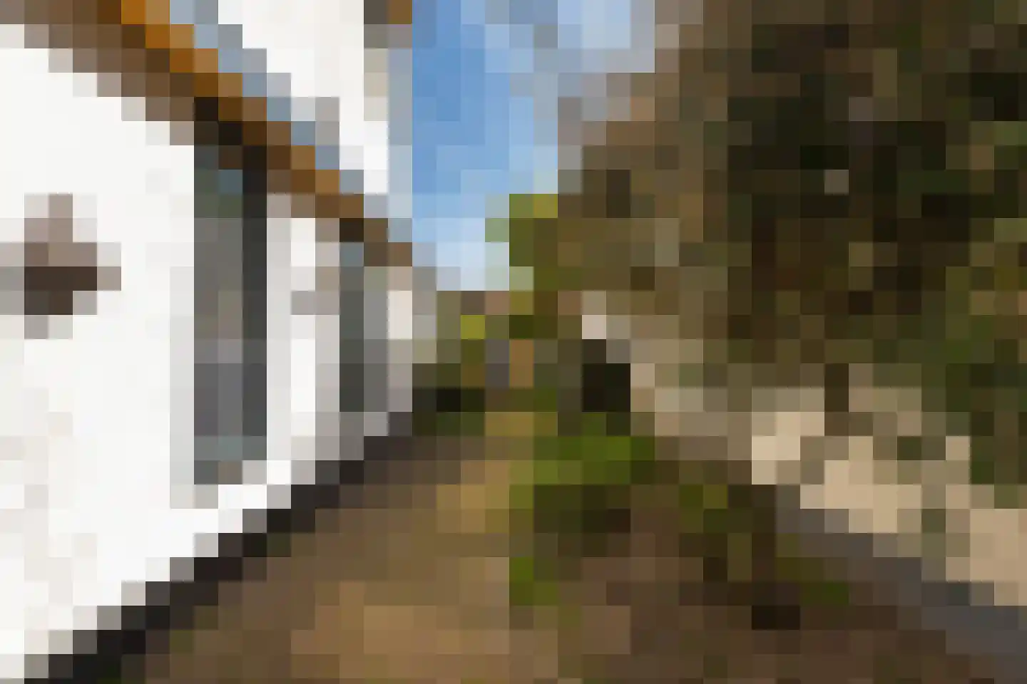 Wijdstraat 7 Stolwijk thumbnail 25