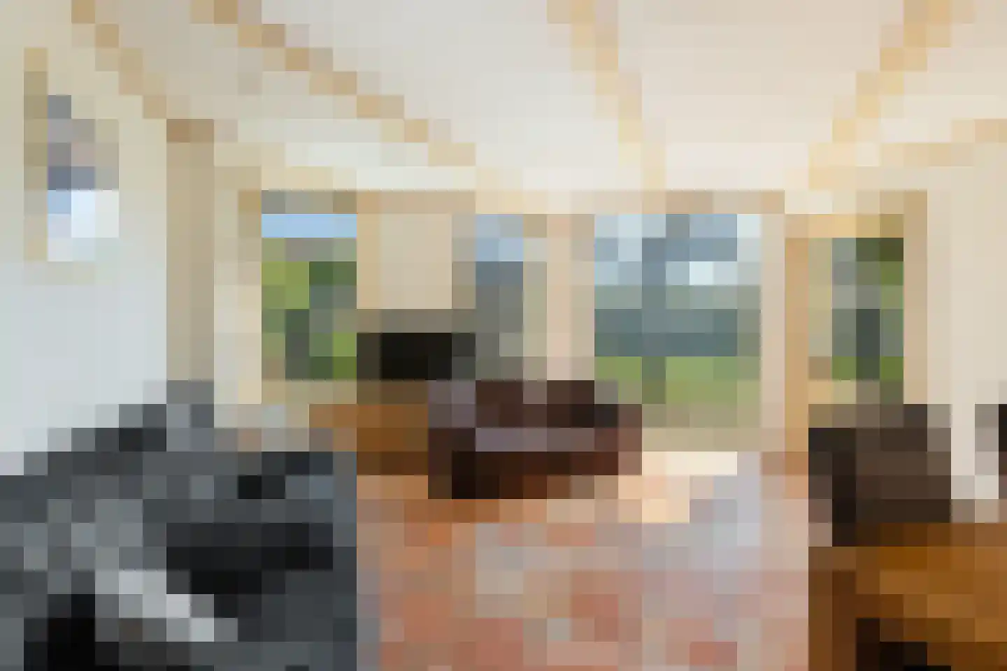 Wijdstraat 7 Stolwijk thumbnail 29