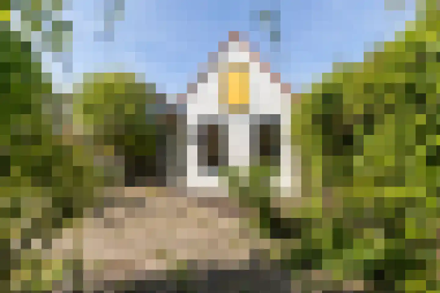 Wijdstraat 7 Stolwijk thumbnail 41