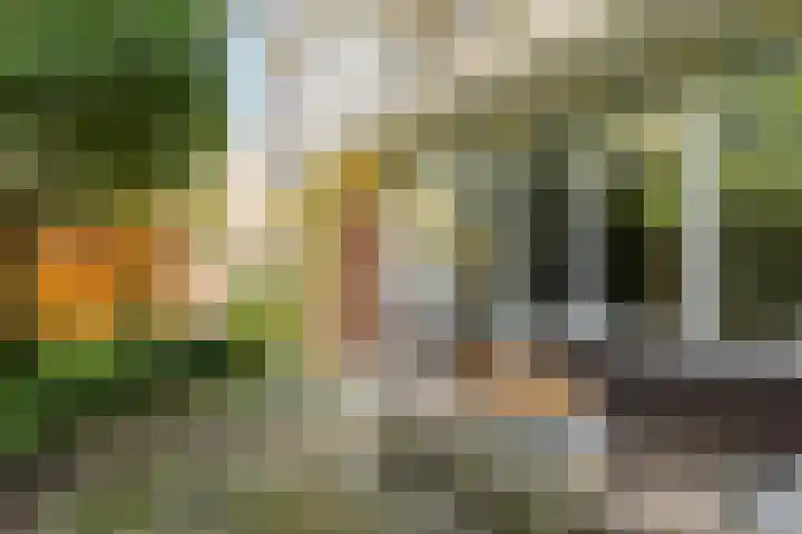 Wijenburg 12 Amsterdam thumbnail 10