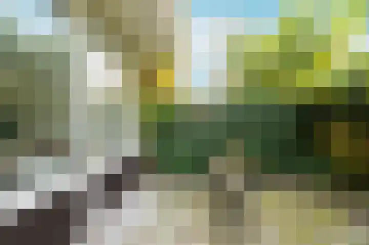 Wijenburg 12 Amsterdam thumbnail 11
