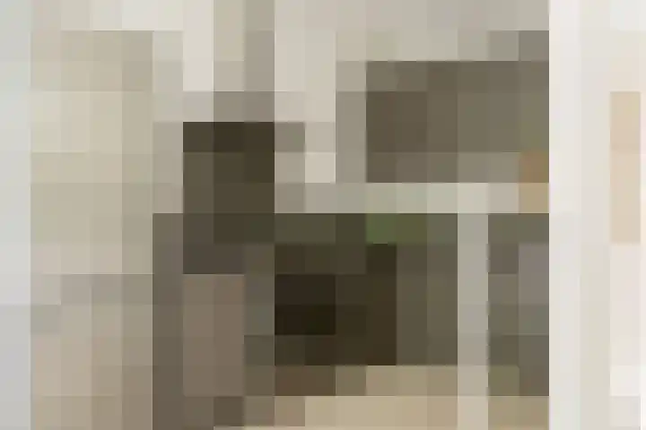 Wijenburg 12 Amsterdam thumbnail 12