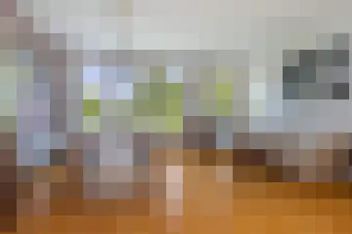 Wijenburg 12 Amsterdam thumbnail 27