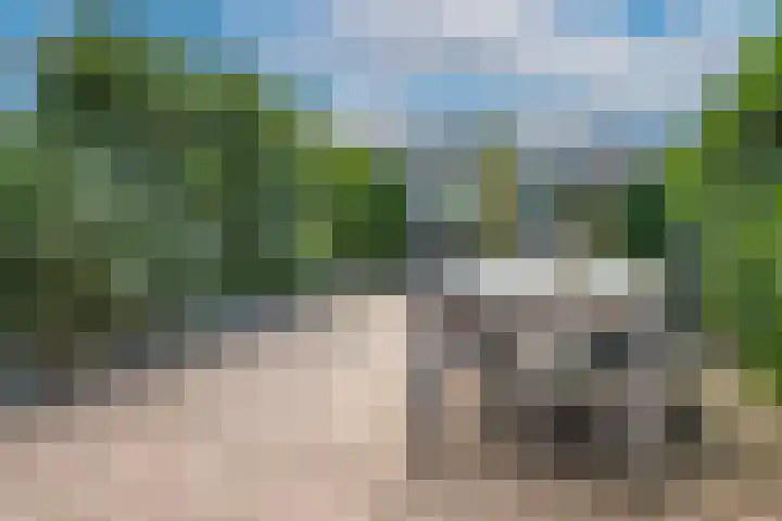 Wijenburg 12 Amsterdam thumbnail 35