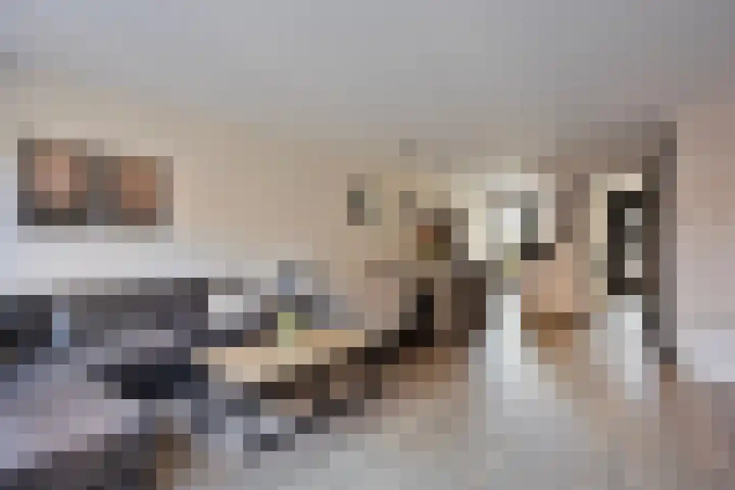 Wijenburg 14 Veenendaal thumbnail 4