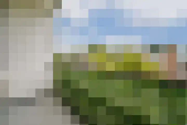 Wijenburg 173 Amsterdam thumbnail 10
