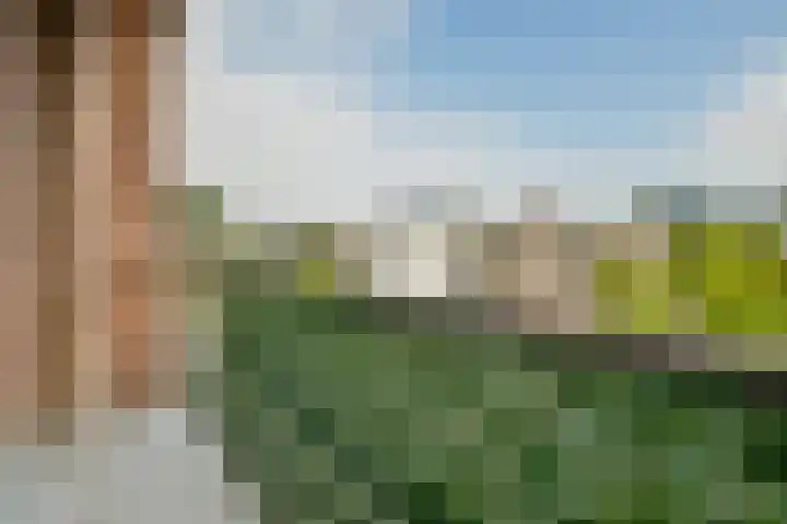 Wijenburg 173 Amsterdam thumbnail 13