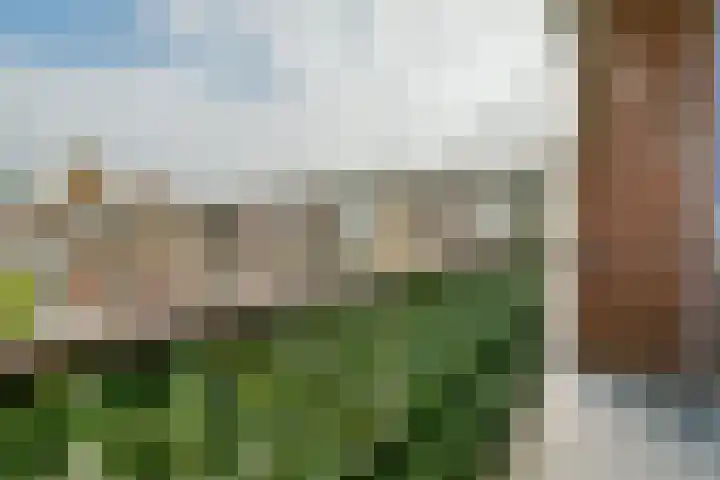 Wijenburg 173 Amsterdam thumbnail 14