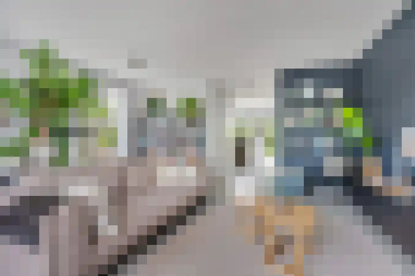 Wijenburg 2 Veenendaal thumbnail 11