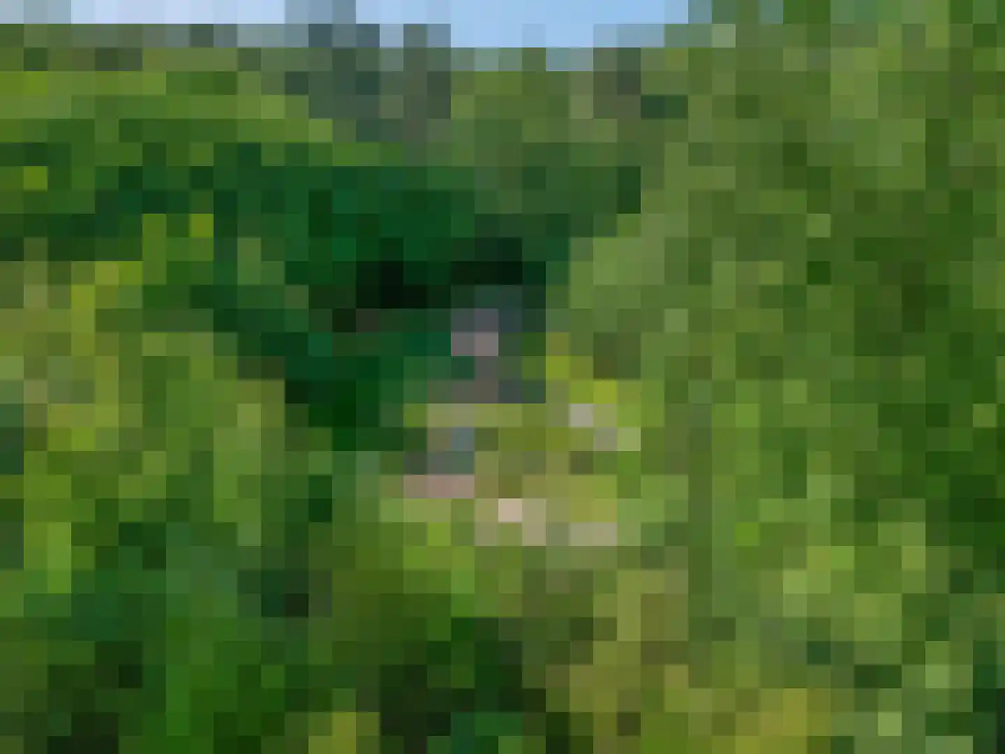 Wijenburg 2 Veenendaal thumbnail 41