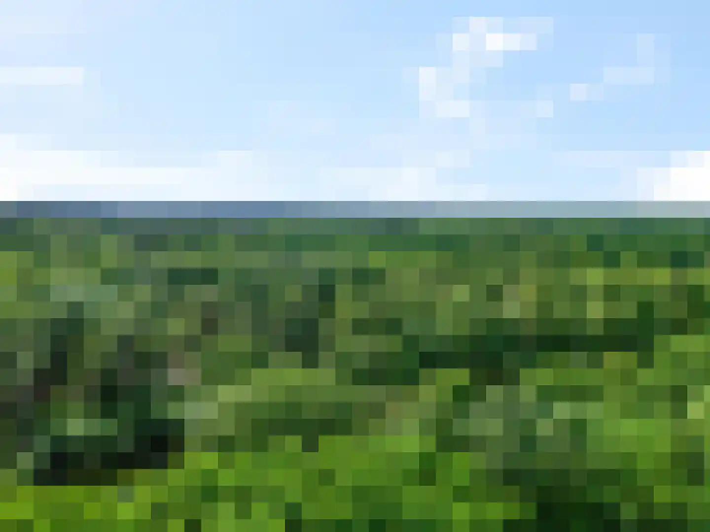 Wijenburg 2 Veenendaal thumbnail 42