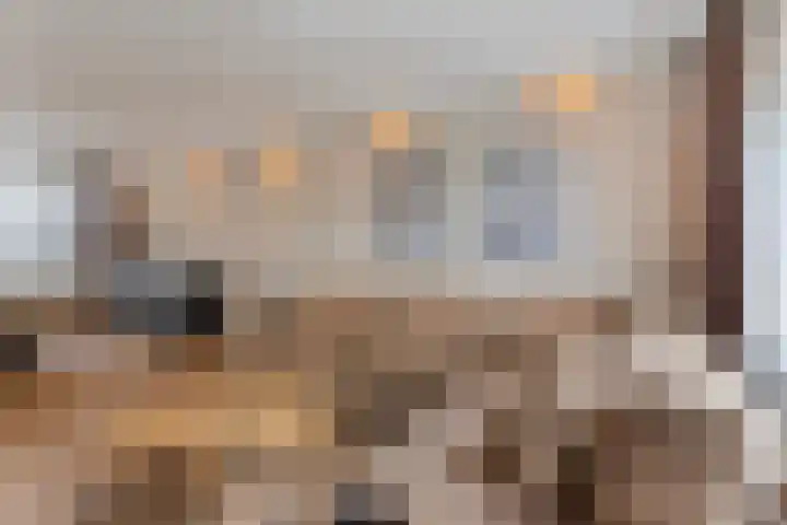 Wijenburg 27 Eindhoven thumbnail 13