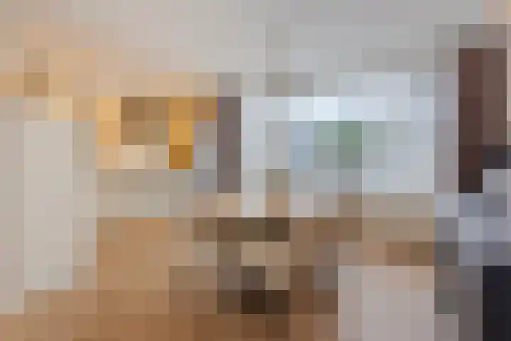 Wijenburg 27 Eindhoven thumbnail 15