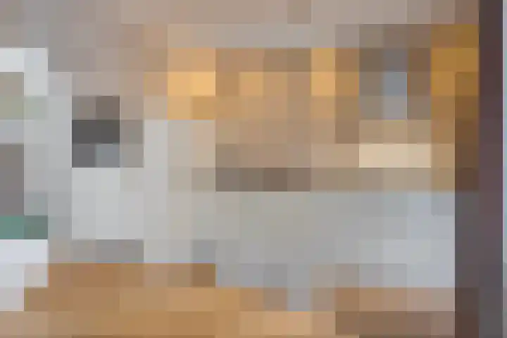 Wijenburg 27 Eindhoven thumbnail 16