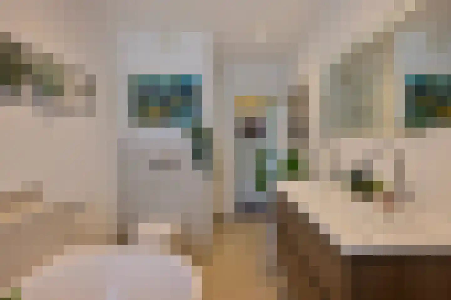 Wijenburg 31 Amsterdam thumbnail 27