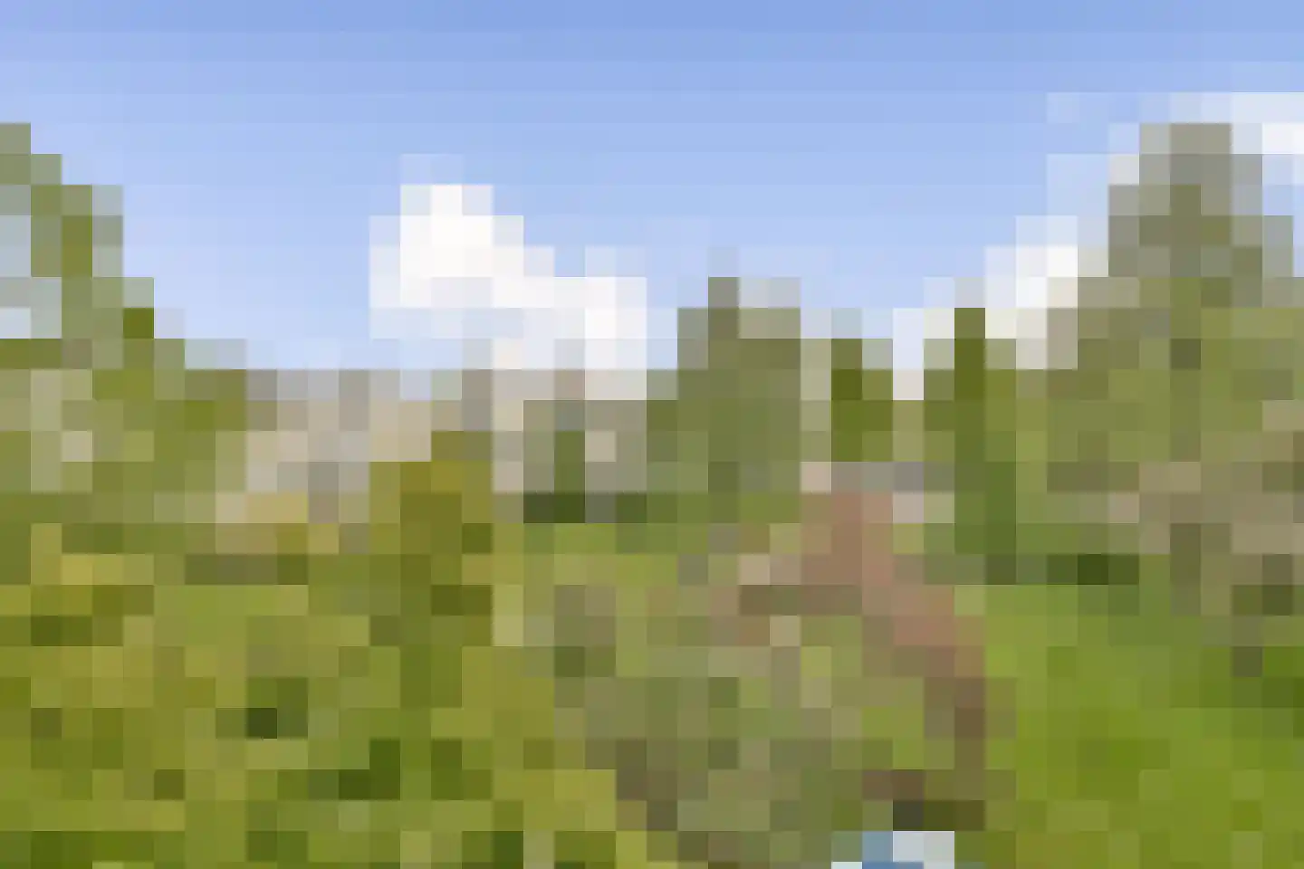 Wijenburg 49 Amsterdam thumbnail 4