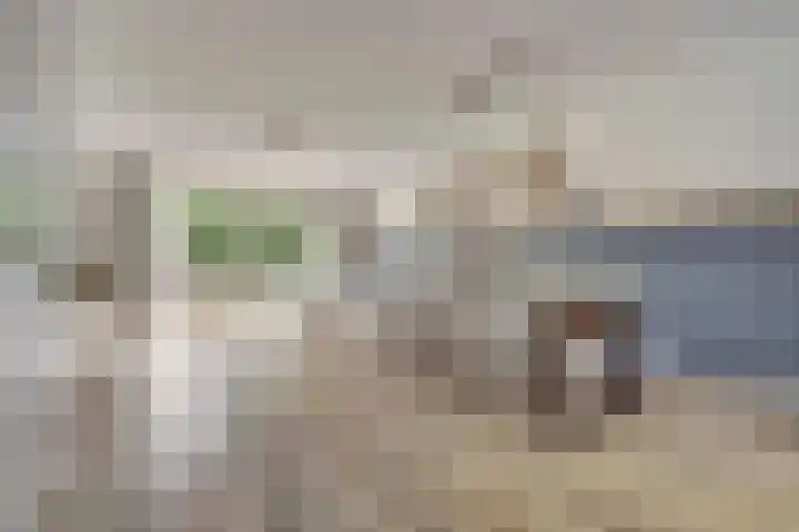 Wijenburg 6 Veenendaal thumbnail 10