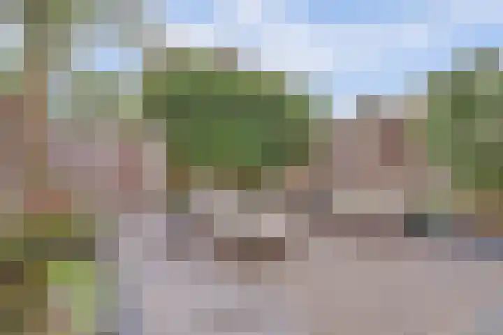 Wijenburg 6 Veenendaal thumbnail 31