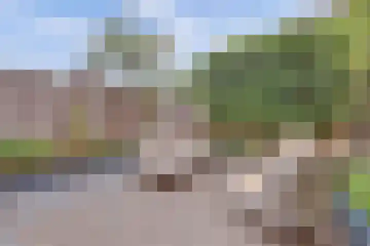 Wijenburg 6 Veenendaal thumbnail 32