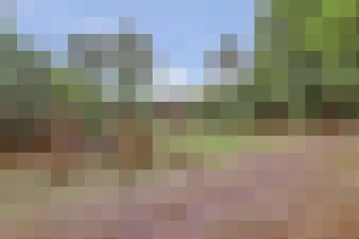 Wijenburg 6 Veenendaal thumbnail 34