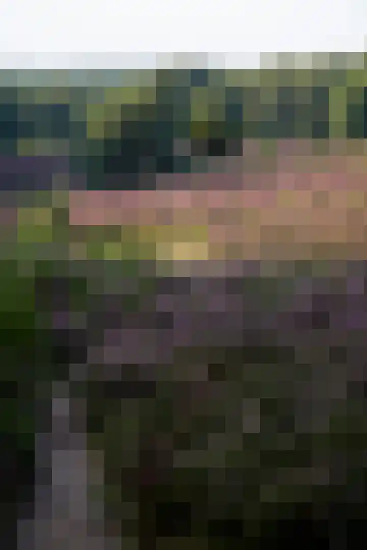 Wijenburg 6 Veenendaal thumbnail 37