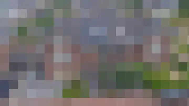 Wijenburg 6 Veenendaal thumbnail 4