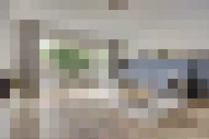 Wijenburg 6 Veenendaal thumbnail 5