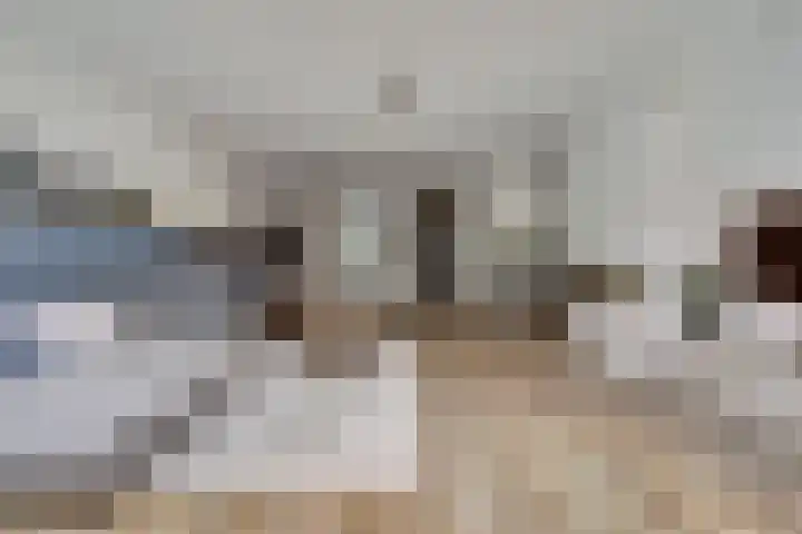 Wijenburg 6 Veenendaal thumbnail 7