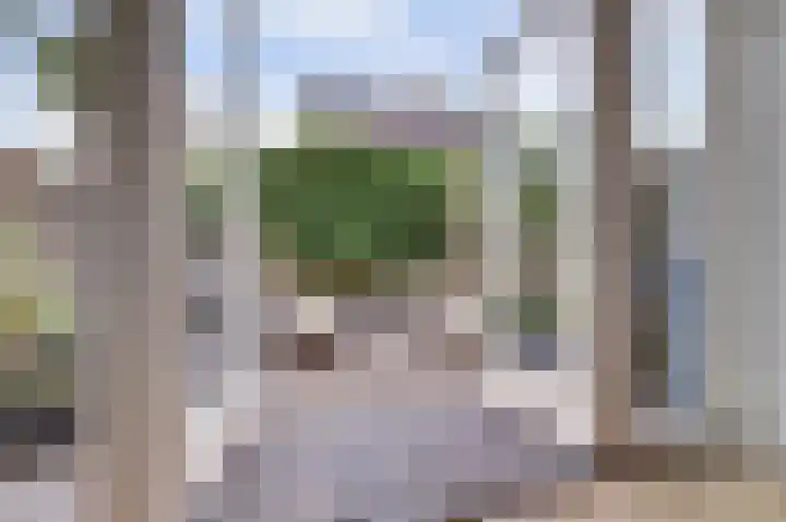 Wijenburg 6 Veenendaal thumbnail 9