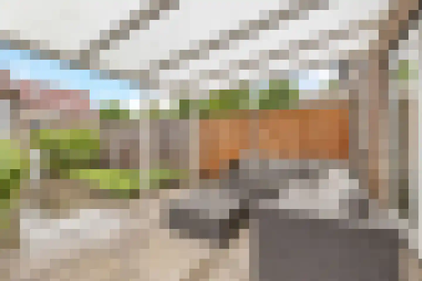 Wijenburg 8 Zeewolde thumbnail 39