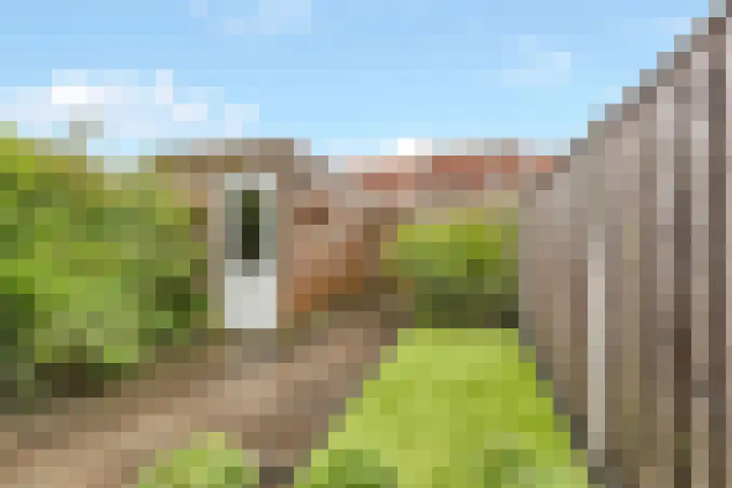 Wijenburg 8 Zeewolde thumbnail 41