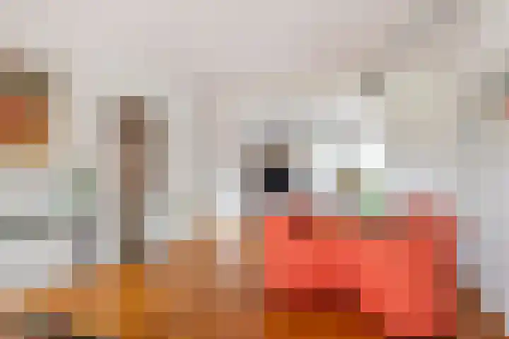 Wijenburghlaan 10 Tiel thumbnail 11