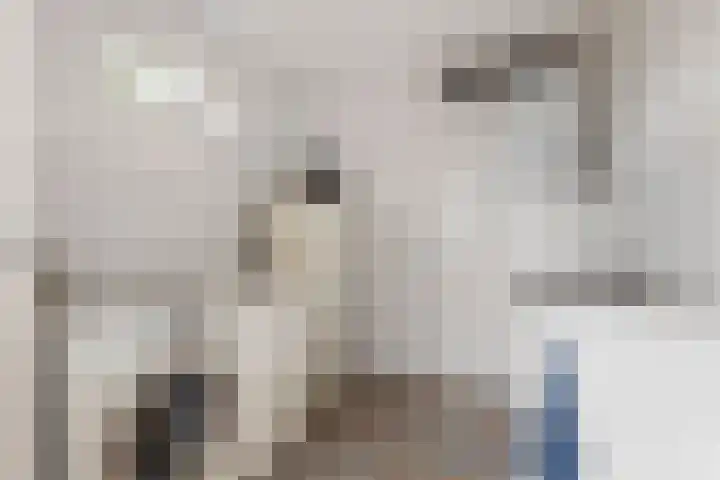 Wijenburghlaan 10 Tiel thumbnail 19